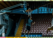 米兰体育入口-雄鹿大胜灰熊，继续领跑西部