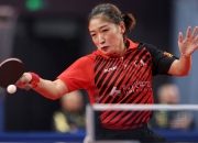 米兰,-乒乓球女单选手刘诗雯横扫进八强