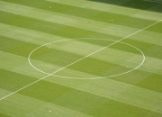 milan.com-帕尔梅拉斯球迷现场助威，激发球队夺冠斗志