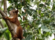 米兰体育入口-当紫金军团遭遇魔术魔法，约基奇制胜一击背后的篮球哲学