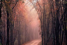 ac米兰-今日中超：欧冠悲喜剧！拜仁爆冷梅西泪目，死亡之组一夜剧变