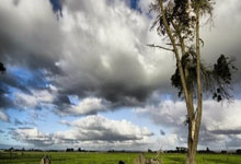 米兰体育官网-红魔归来！比利时血性晋级引爆欧陆，黄金一代终章谱写新史诗